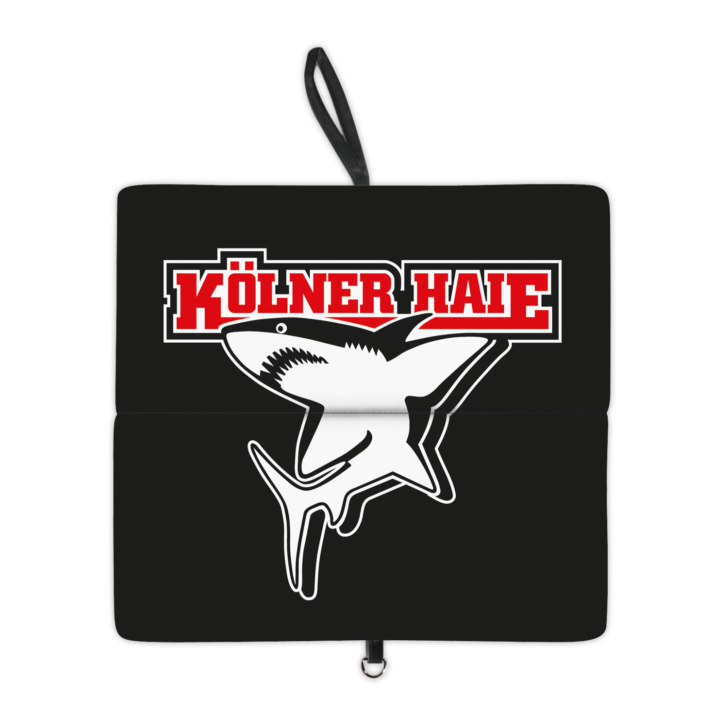 5250_koelnerhaie 5250_koelnerhaie