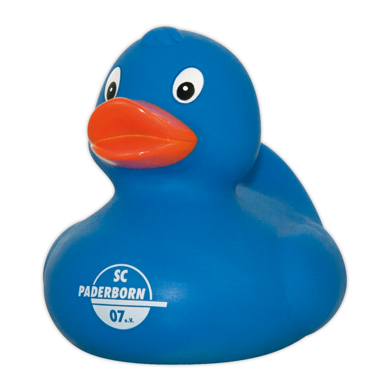 6450_paderborn-blau