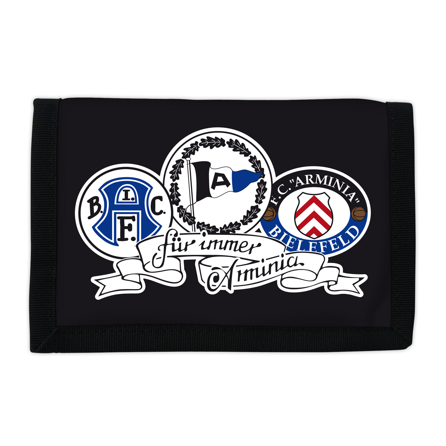 6100_arminia