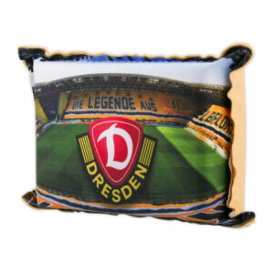 Autoschwamm Dynamo Dresden
